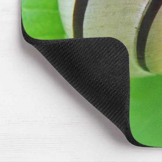 Weiß-braune Schnecke Muismat (Hoek)