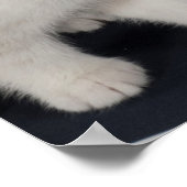 Weiße Katze Spiegel Poster (Hoek)