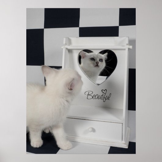 Weiße Katze Spiegel Poster (Voorkant)