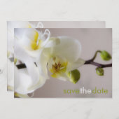 Weiße Orchide Opslaan Datum Karte Save The Date (Voorkant / Achterkant)