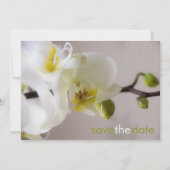 Weiße Orchide Opslaan Datum Karte Save The Date (Voorkant)