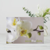 Weiße Orchide Opslaan Datum Karte Save The Date (Staand voorkant)