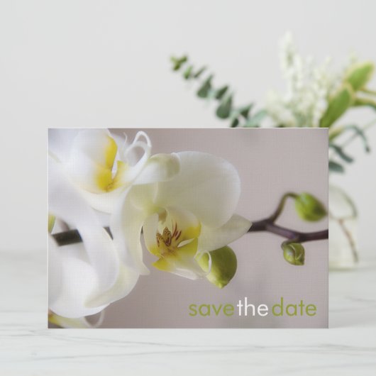 Weiße Orchide Opslaan Datum Karte Save The Date (Staand voorkant)