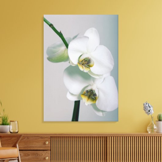 Weiße Orchideen Leinwandbild Canvas Afdruk (Insitu (Woonkamer))