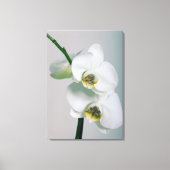 Weiße Orchideen Leinwandbild Canvas Afdruk (Voorkant)