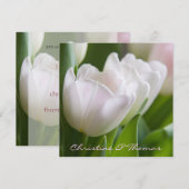 Weiße Tulpen • Save-the-Date-Postkarte Save The Date (Voorkant / Achterkant)