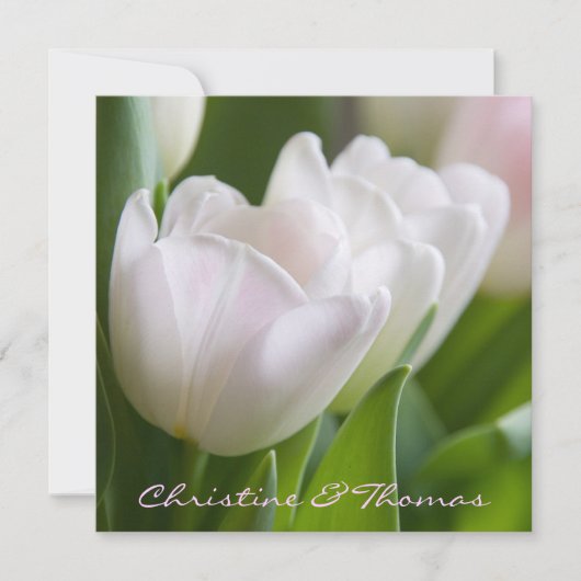 Weiße Tulpen • Save-the-Date-Postkarte Save The Date (Voorkant)