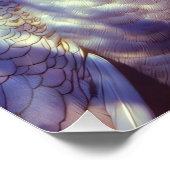 Weißer Pfau und Schönheit in rosa Eleganz Perfect Poster (Hoek)