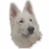 weisser Schäferhund Kopf Aufkleber Sticker (Voorkant)