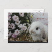 weißes Häschen, Kaninchen mit Blumen Osterhase Briefkaart (Voorkant / Achterkant)