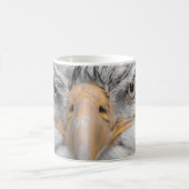 Weißkopfseeadler Koffiemok (Center)