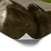 Weizen-tarwe Poster (Hoek)