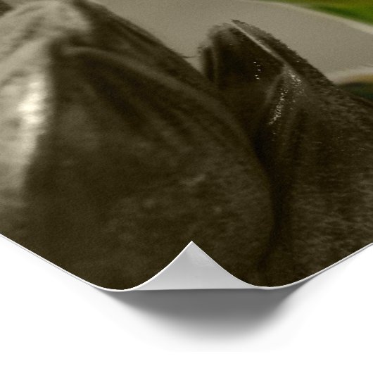 Weizen-tarwe Poster (Hoek)