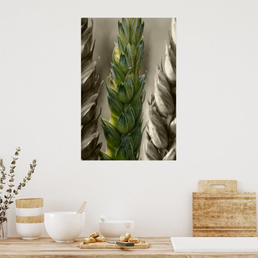Weizen-tarwe Poster (Keuken)
