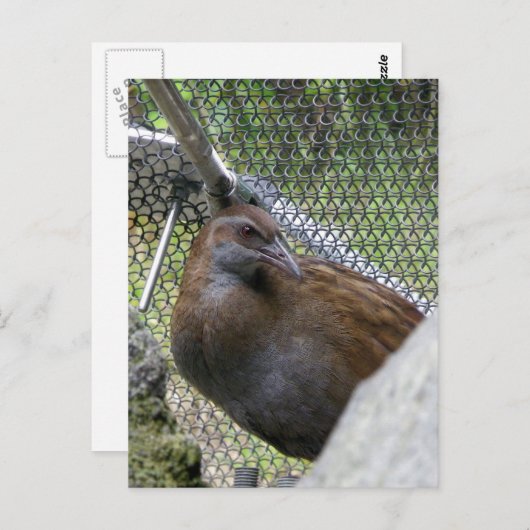 Weka Briefkaart (Voorkant / Achterkant)