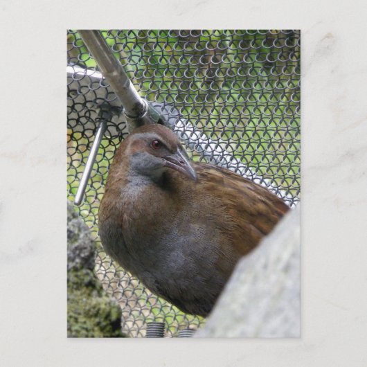 Weka Briefkaart (Voorkant)