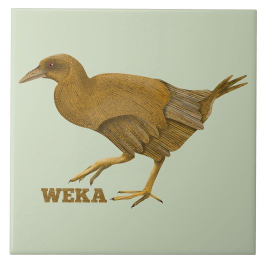 Weka N.Z. vogel Tegeltje (Voorkant)