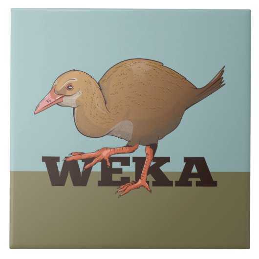 Weka Nieuw-Zeelandse vogel Tegeltje (Voorkant)