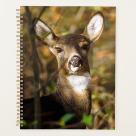 Wekelijks/maandelijks programma voor Wit-Russische Planner