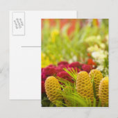 Wekelijkse markt voor groenten en fruit op vrijdag briefkaart (Voorkant / Achterkant)