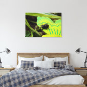 Weken, Beetles, Curculionoidea, Bug Canvas Afdruk (Insitu (Slaapkamer))