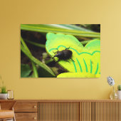 Weken, Beetles, Curculionoidea, Bug Canvas Afdruk (Insitu (Woonkamer))