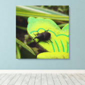 Weken, Beetles, Curculionoidea, Bug Canvas Afdruk (Insitu (Houten vloer))