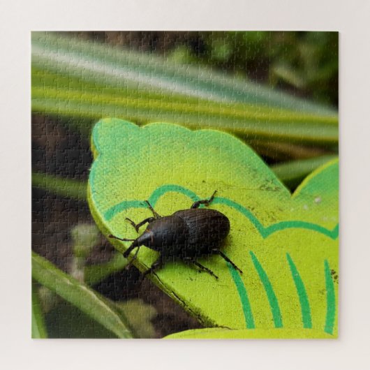 Weken, Beetles, Curculionoidea, Bug Legpuzzel (Verticaal)