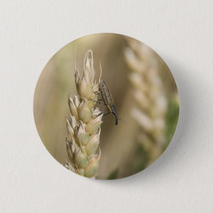 Weken Ronde Button 5,7 Cm