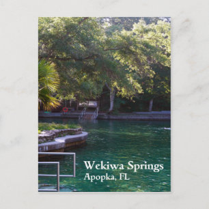 Wekiwa Springs, Apopka, FL-Briefkaart Briefkaart