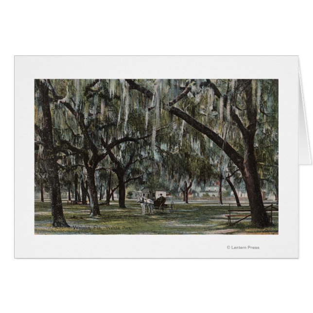 Welaka, FL - Uitzicht van Welaka Park & Mossy Tree (Voorkant Horizontaal)