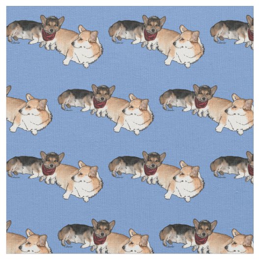 Welch Corgis Stof (Close Up)