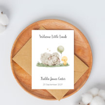 Welcome Little Lamb New Baby Keepsake
