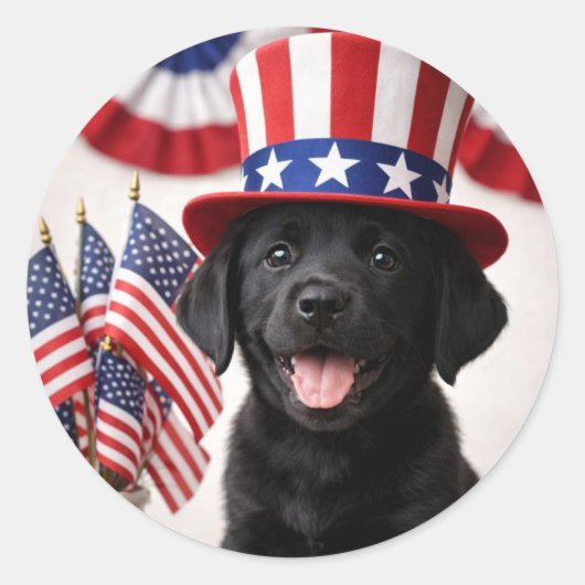 Welcome New U.S. Citizen Patriotic Round Sticker (Voorkant)