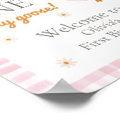 Welcome Sign Little Chick Farm Barnyard Birthday Poster (Hoek)