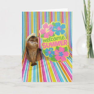 Welcome Summer Featuring Summer the Somali Cat Kaart