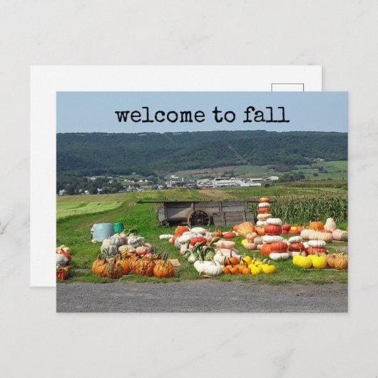 welcome to fall pumpkin farm post card briefkaart (Voorkant / Achterkant)