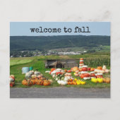 welcome to fall pumpkin farm post card briefkaart (Voorkant)