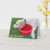 weldra een hond met een rode waterkom kaart (Gele Bloem)