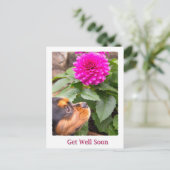 weldra koning Charles Spaniel en Dahlia Briefkaart (Staand voorkant)