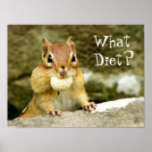 Welk dieet? Chipmunk Poster (Voorkant)