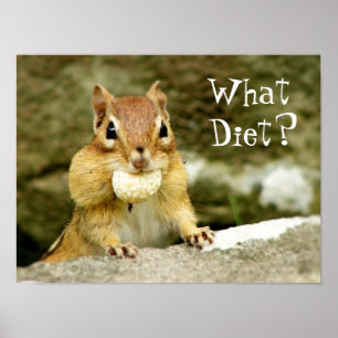 Welk dieet? Chipmunk Poster