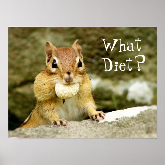 Welk dieet? Chipmunk Poster (Voorkant)