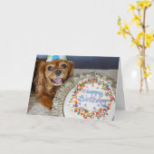 Welk dieet? kaart (Gele Bloem)