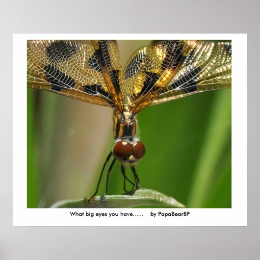Welke grote ogen heb je..... .. poster (Voorkant)