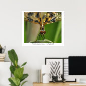 Welke grote ogen heb je..... .. poster (Thuiskantoor)