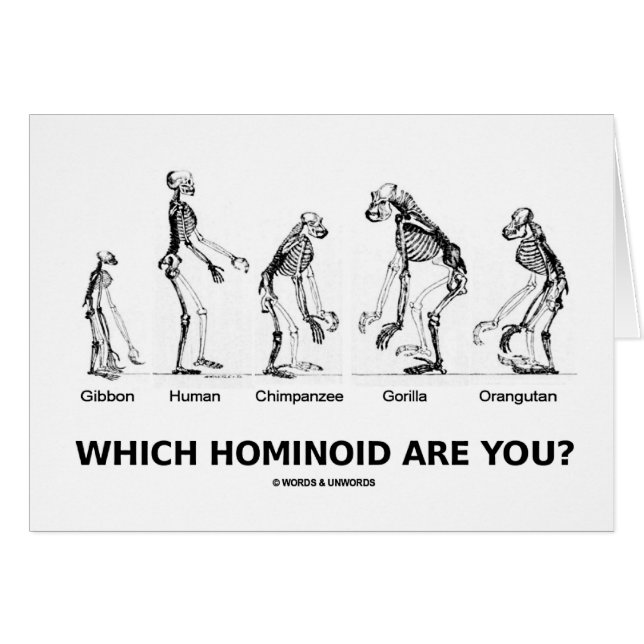 Welke Hominoïde ben jij? (Hominid Skeletons) (Voorkant Horizontaal)