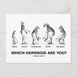 Welke Hominoïde ben jij? (Hominid Skeletons) Briefkaart