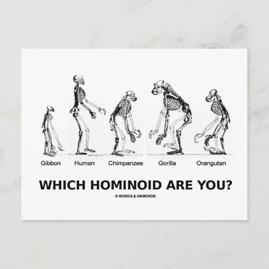 Welke Hominoïde ben jij? (Hominid Skeletons) Briefkaart (Voorkant)