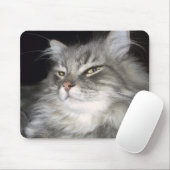 Welke houding? muismat (Met muis)